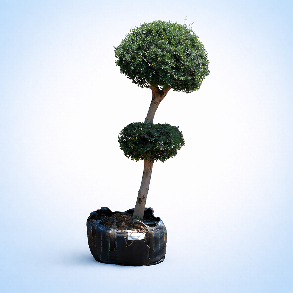 ChatGPT Image Mar 16, 2026, 11_45_17 AM